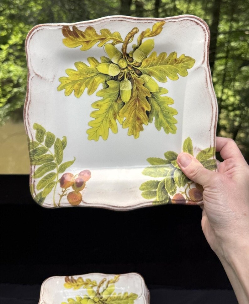 10 Sur La Table Acorn & Fig 9.5" Salad Plates made in Italy Fall Theme Mint! image 6