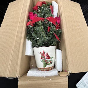 Jackson & Perkins Cardinal Bird Keramikpflanzer 19 ”Weihnachtsbaum In Box!