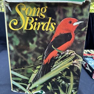 Puede incluir: Una portada de libro con el título "Song Birds" en letras amarillas. La portada presenta un pájaro rojo y negro posado sobre un follaje verde.