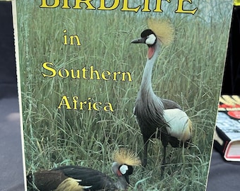 KENNETH NEWMAN / Vogelwelt im südlichen Afrika 1979 Tolle Fotos!! -16
