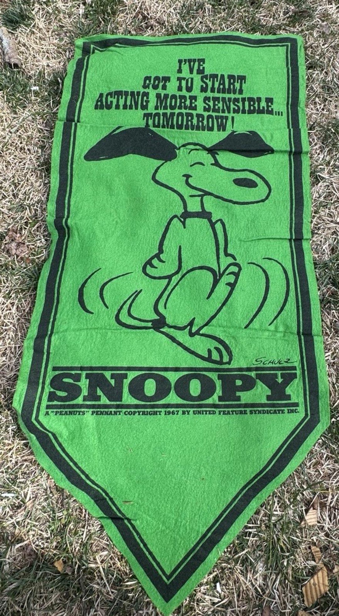 Peanuts バナー 1967年製　SNOOPY Snoopy スヌーピー Banner Felt Understands” One “No アンティーク雑貨