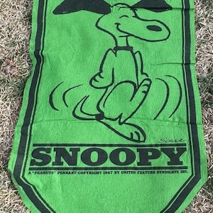 May include: A green pennant featuring a black and white illustration of Snoopy the dog. The pennant has a black border and the text "I've got to start acting more sensible... tomorrow!" and "A "PEANUTS" pennant copyright 1967 by United Feature Syndicate Inc."