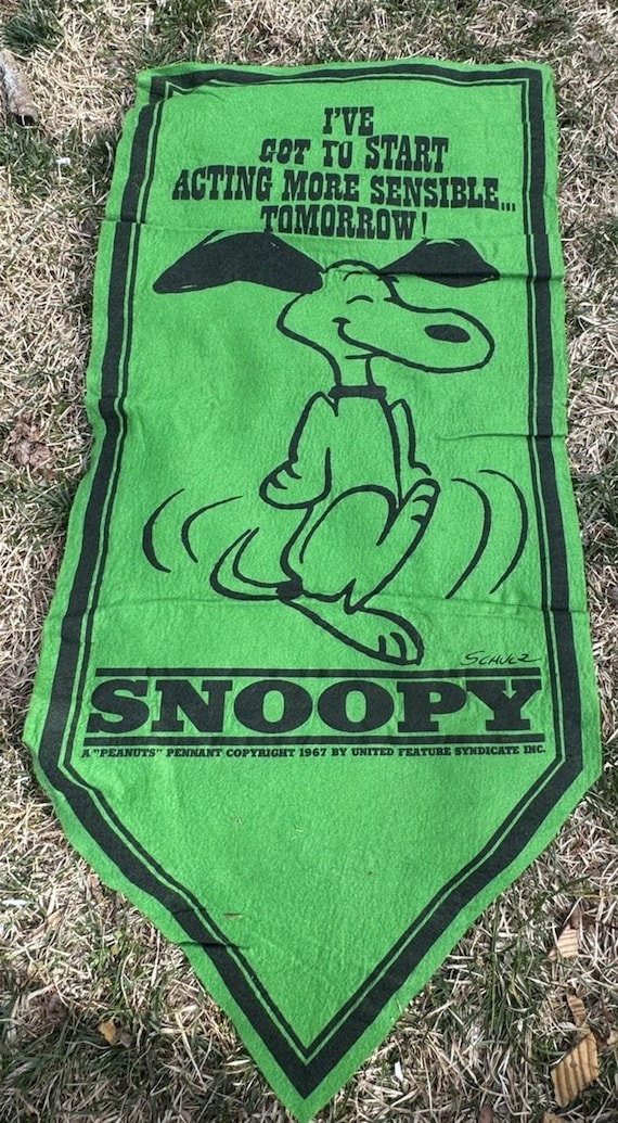 Vintage 1967 Snoopy Peanuts Felt Banner Pennant Flag Green 15 X34
