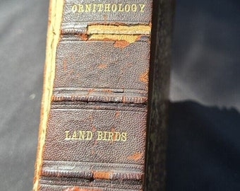 Ein Handbuch der Ornithologie der USA / Kanada Thomas Nuttall 1832-1st Ed – Land Birds