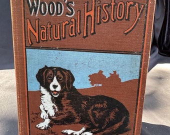Wood's Natural History Illustrierte Naturgeschichte von Rev. J.G. Holz selten!