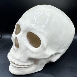May include: A white ceramic skull with large eye sockets and a detailed jawline. The skull is a decorative item, suitable for Halloween or gothic decor. The smooth, glossy finish gives it a clean, modern appearance.