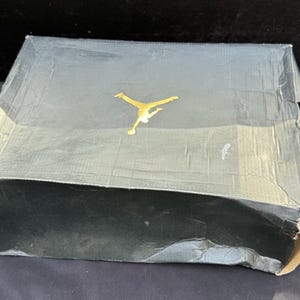 Nike Air Jordan 11 XI Low Cool Grey 528895-003 DS Rare Brand New OG Size 13 image 5