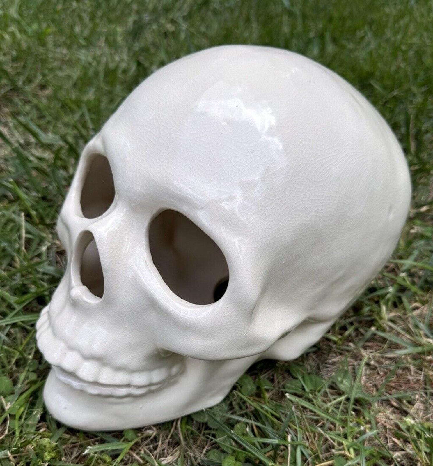 Ceramic skull - Etsy 日本