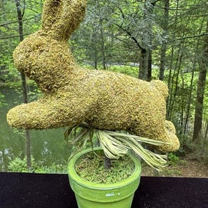 Może przedstawiać: Zielona ceramiczna doniczka z figurką zielonego królika pokrytego mchem. Królik siedzi na łóżku z suszonej trawy i ma zieloną wstążkę zawiązaną wokół szyi.