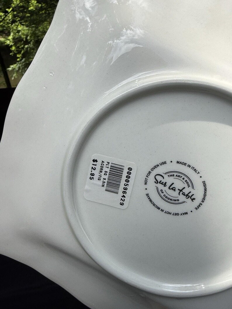 10 Sur La Table Acorn & Fig 9.5" Salad Plates made in Italy Fall Theme Mint! image 8