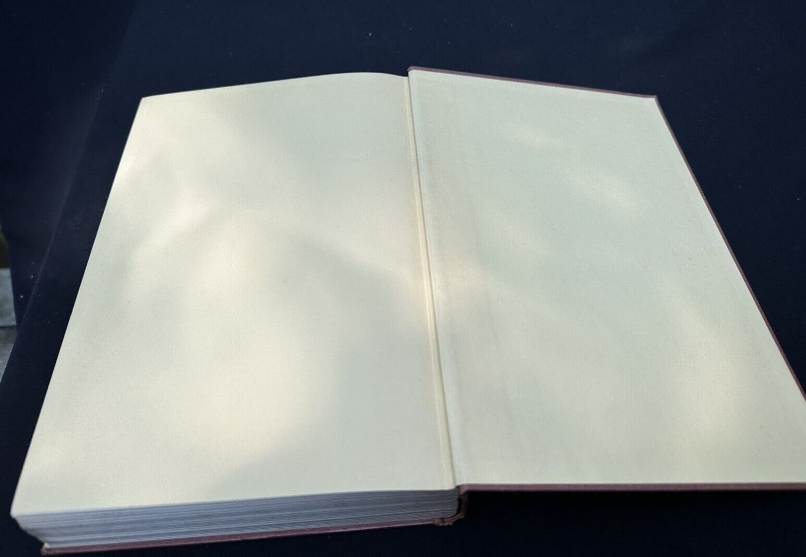 洋書 Dictionary  Contemporary American Usage 洋書 Dictionary Contemporary American Usage A dictionary of