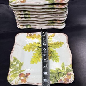 10 Sur La Table Acorn & Fig 9.5" Salad Plates made in Italy Fall Theme Mint! image 11