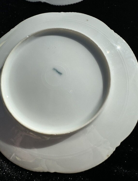 6 枚のゴージャスなアンティーク 1911 年ドイツ手描きグリーン ローズ