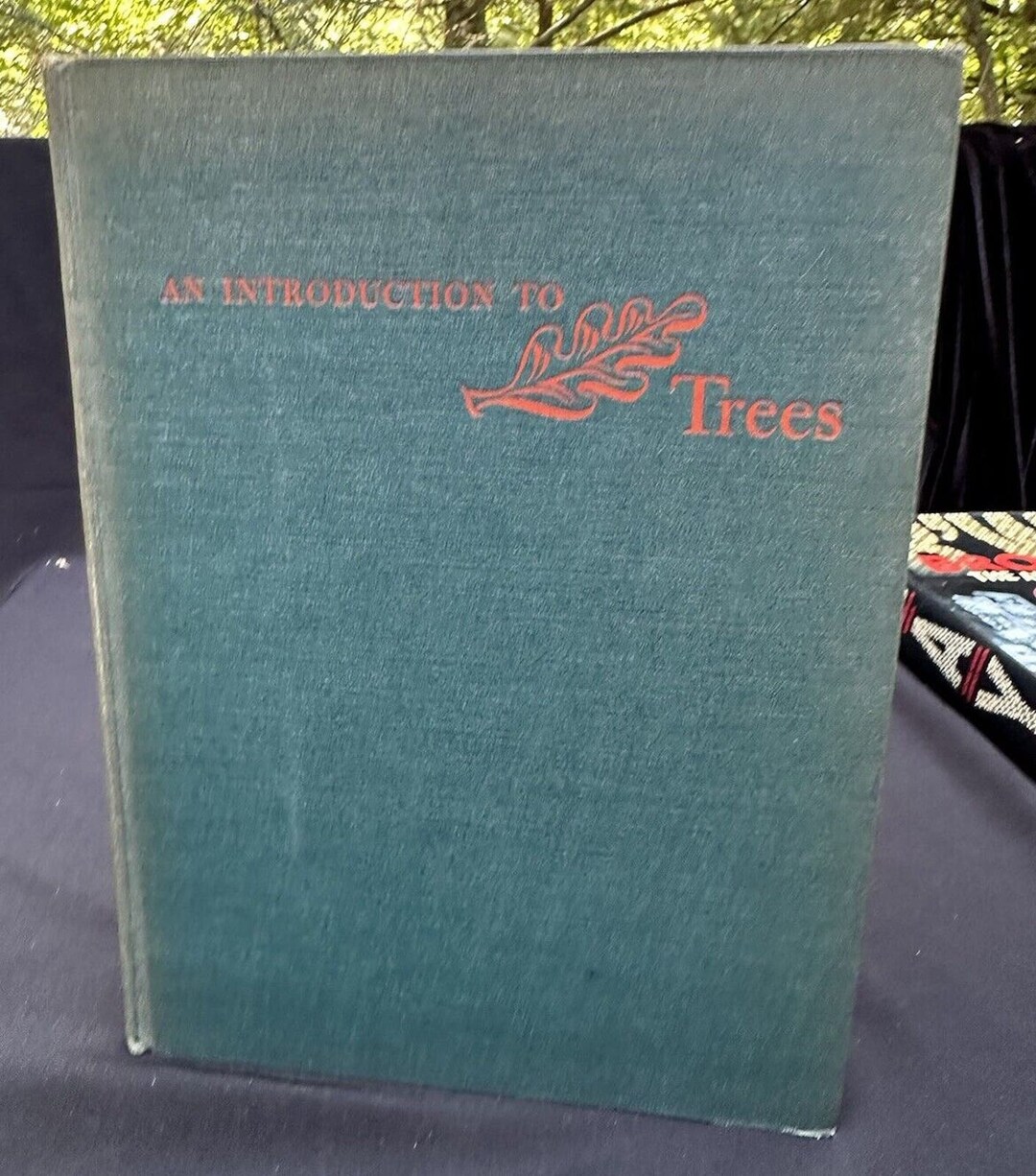 An Introduction to Trees HC John Kieran 1954 1st Edition Ill. Michael ...