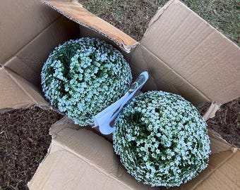 Brand New Wicker Park 2 Pack 11" Faux Flower Spheres Indoor Outdoor White