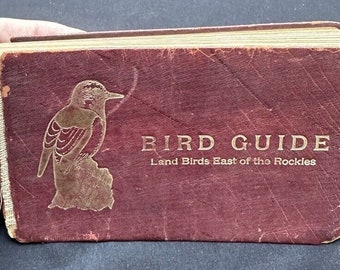 Vogelführer Landvögel östlich der Rocky Mountains (1940) Song Insectivorous Chester Reed
