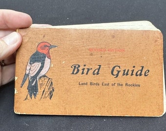 Ancien guide des oiseaux, oiseaux terrestres de l'est des Rocheuses, 1912 Chester Reed -bk14