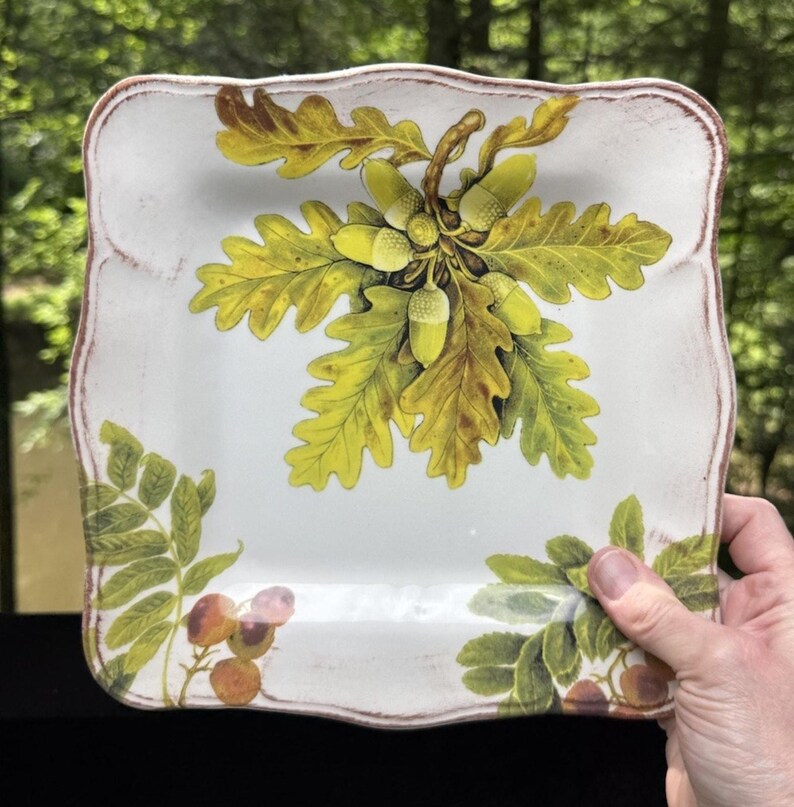 10 Sur La Table Acorn & Fig 9.5" Salad Plates made in Italy Fall Theme Mint! image 5