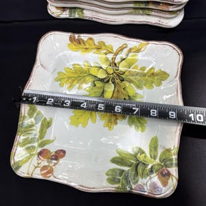 10 Sur La Table Acorn & Fig 9.5" Salad Plates made in Italy Fall Theme Mint! image 12