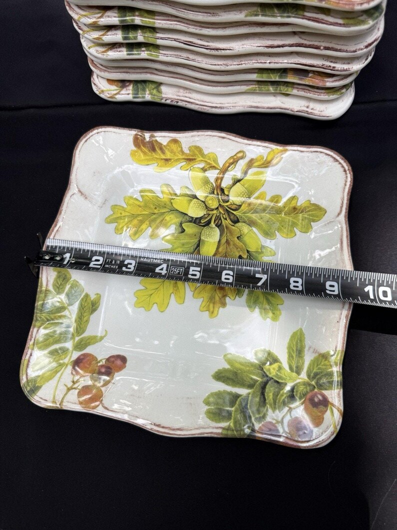 10 Sur La Table Acorn & Fig 9.5" Salad Plates made in Italy Fall Theme Mint! image 12