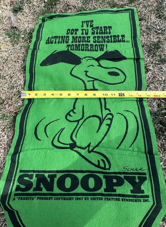 Vintage 1967 Snoopy Peanuts Felt Banner Pennant Flag Green 15 X34