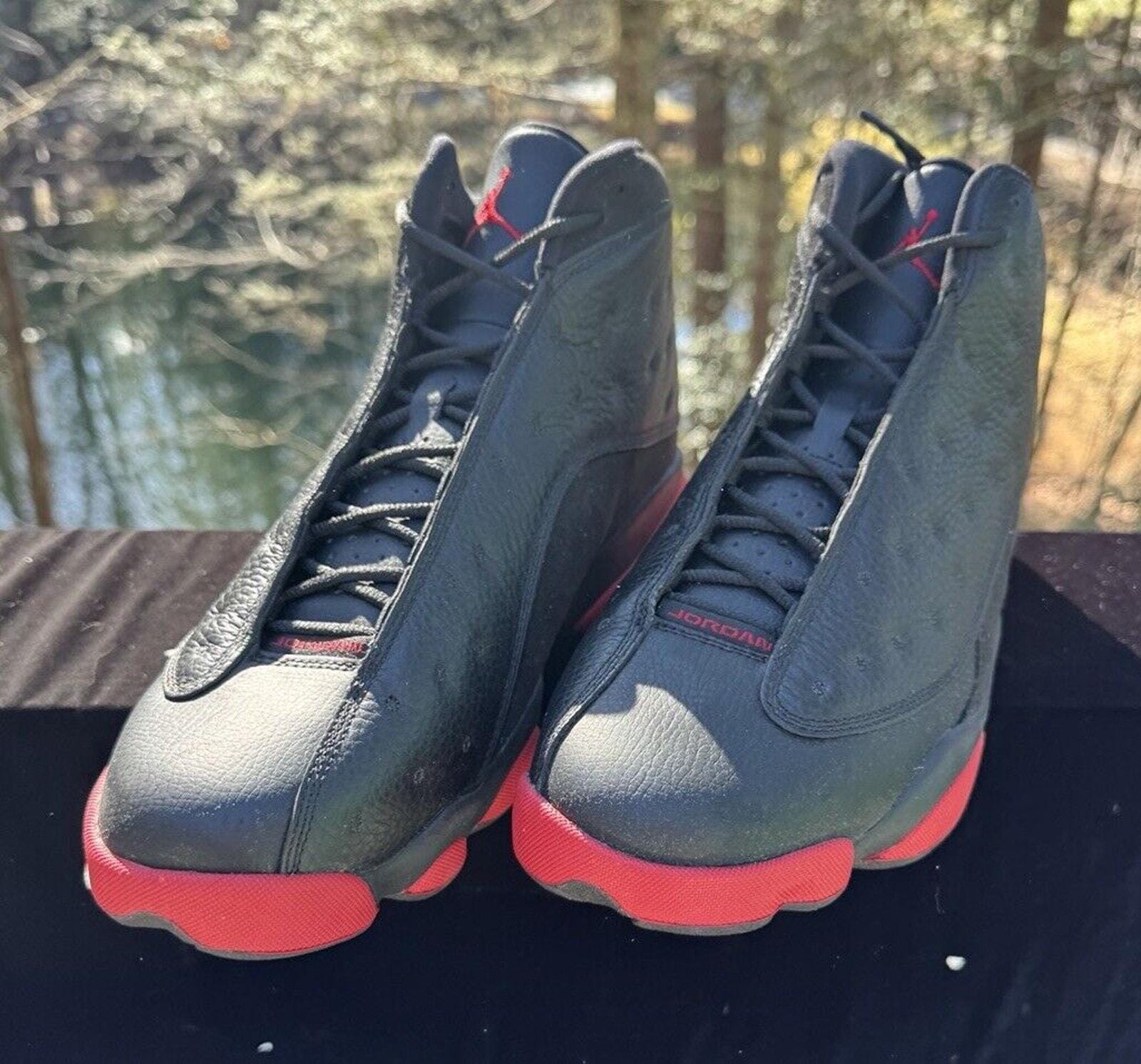 dirty breds 13
