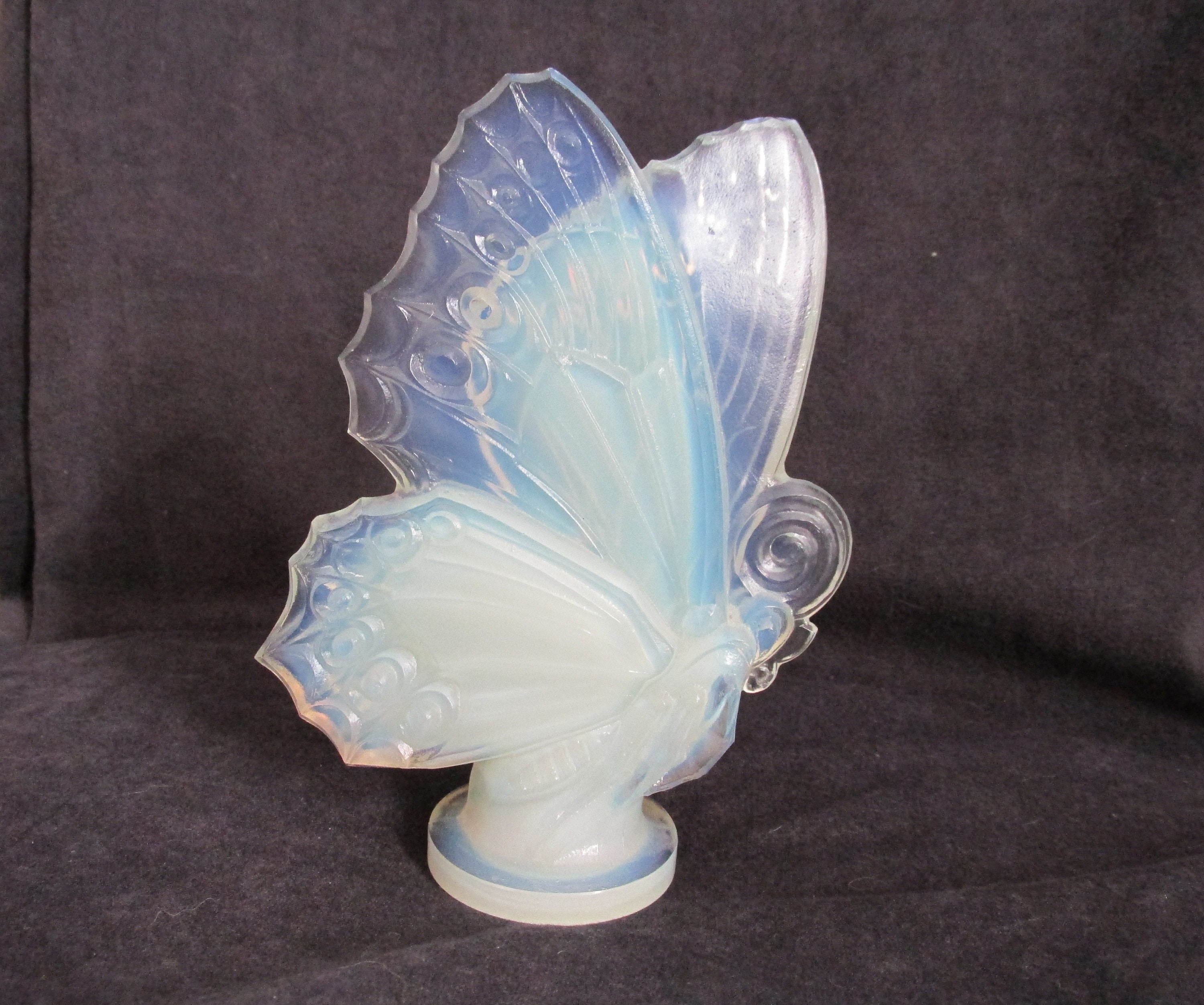 Sabino B Large Closed Wing Butterfly B33 - Etsy