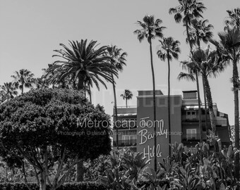 Black & White, Los Angeles Photography, Los Angeles California photography, Fine Art Photography, Los Angeles Pictures, beverly hills hotel