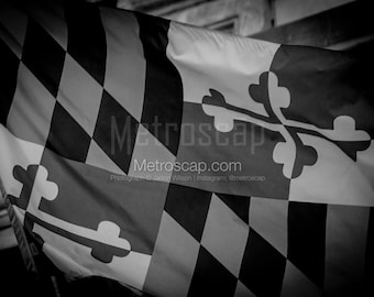 Baltimore Pictures Black & White. Maryland Flag Baltimore City Hall Black And White Wall Art. Baltimore Black And White Photography