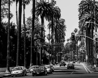 Black & White, Los Angeles Photography, Los Angeles California photography, Fine Art Photography, LA Pictures, beverly drive at sunset blvd