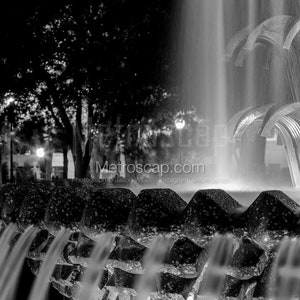 Close Up Pineapple Fountain Black & White Wall Art. Charleston Black And White Pictures | Charleston Office Art