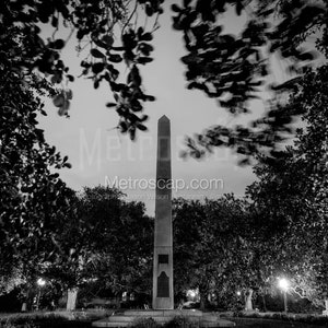 Washington Square Park Charleston Sc Black & White Wall Art. Charleston Black And White Pictures | Charleston Office Art
