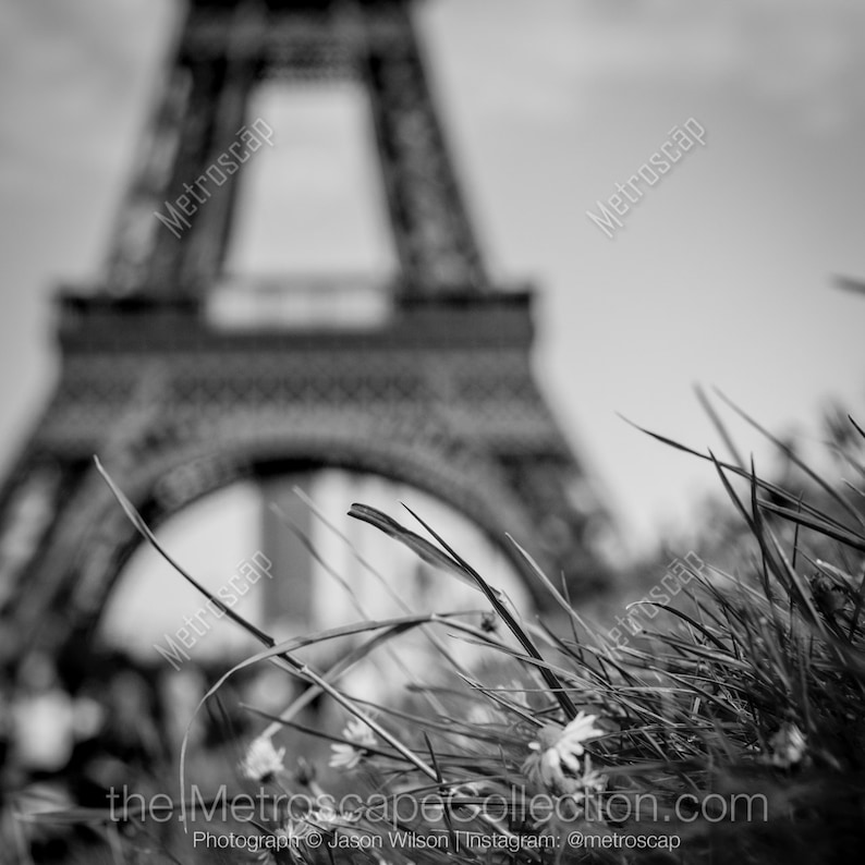 Ranking TOP11 Black and White Paris 2021 autumn winter new Photography France F