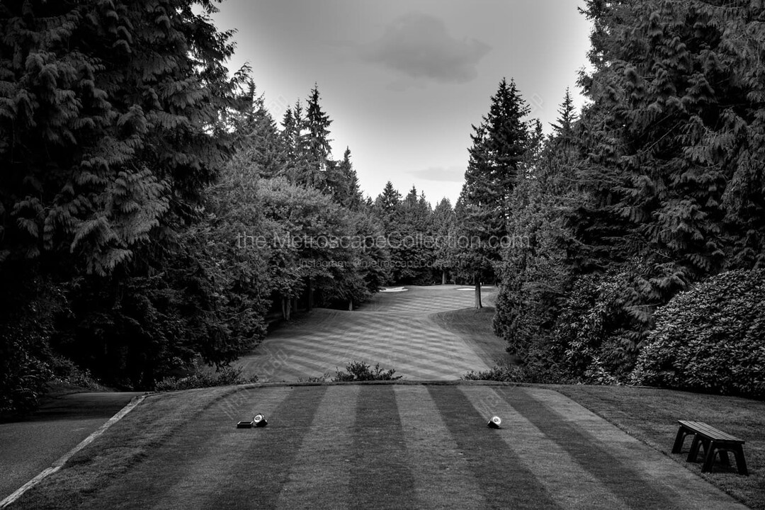 Black and White Golf Pictures, Sahalee Country Club, Golf Course Poster