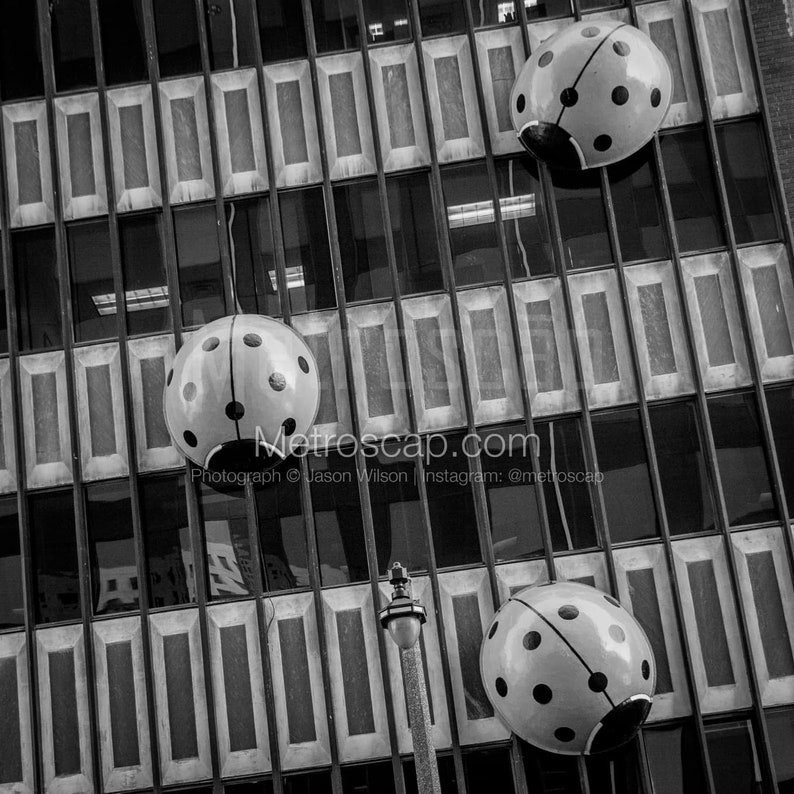 Milwaukee Pictures Black & White. Ladybug Building Downtown Milwaukee ...