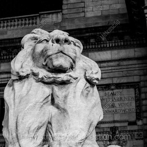 Black and White, New York City Photography, New York Public Library, Fine Art Photography, NYC Pictures, Midtown Manhattan