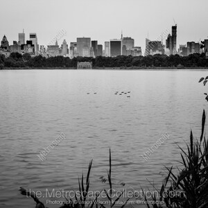 Fotografía en blanco y negro de Central Park, impresión artística del horizonte de la ciudad de Nueva York