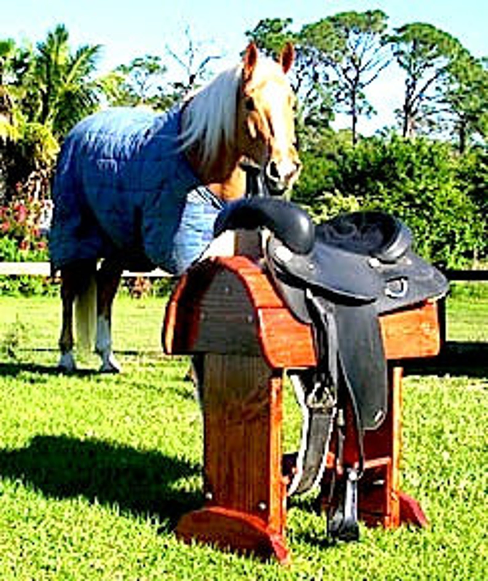 Sit on Your Saddle Stand/Rack With Cinching Tray and Bridle Etsy