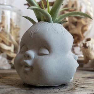 Drei Gesichter Baby Pflanzer gruseliger süßer Zementkaktus und Sukkulenten Bonsai Pflanzer