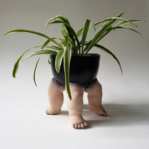Könnte beinhalten: Ein schwarzer Keramik-Pflanztopf mit einem einzigartigen Design, das von drei Beinen und Füßen getragen wird. Der Topf enthält eine grüne Pflanze mit langen, schlanken Blättern. Die Beine sind hautfarben und verleihen der Inneneinrichtung einen skurrilen Touch.