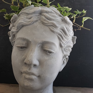 Woman head planter roman greek goddess cement cactus and succulent wallhanging planter