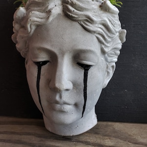 May include: A gray concrete planter shaped like a woman's head with black painted tears running down her cheeks. The planter is filled with green succulents and pink flowers.