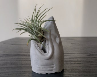 Shark head cement concrete air plant planter