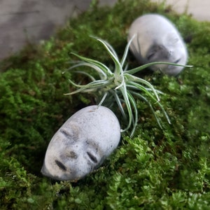 Espeluznantes decoraciones de cemento para cabezas de bebé para plantas en macetas o jardines de hadas