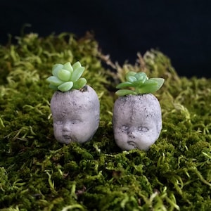 Super diminuto cabeza de bebé creepycute cement bonsai plantador