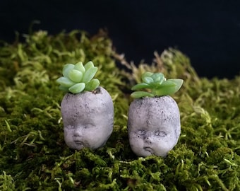 Super tiny baby head creepycute cement bonsai planter