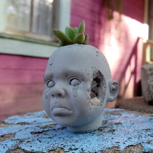 May include: A grey concrete planter in the shape of a baby doll's head, with a hole in the side. A small green succulent plant is growing from the top. The planter rests on a blue and grey surface.