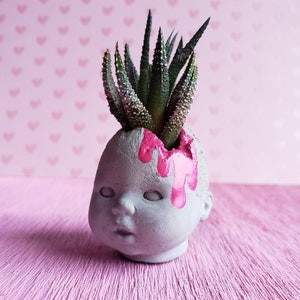 May include: A grey concrete planter shaped like a doll's head with pink paint dripping down the side. A small succulent plant is growing out of the top of the head.