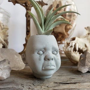 Sad crying baby doll head creepy cute cement cactus and succulent bonsai planter
