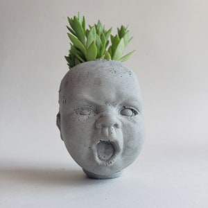 May include: A gray concrete planter shaped like a baby's head with an open mouth, featuring a small succulent plant growing from the top.